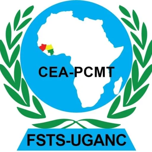 Centres d'Excellence Efricains